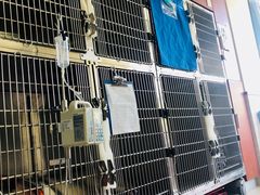 -艾贝尔宠物医院·狂犬免疫点(江山金象城店)