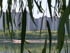 -象湖生态湿地公园