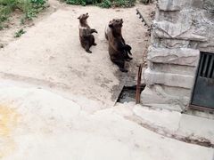 -哈尔滨北方森林动物园