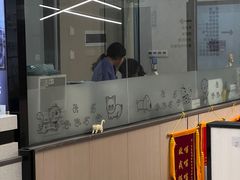 -半岛宠物医院24小时(西派城店)