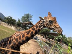 -西安秦岭野生动物园