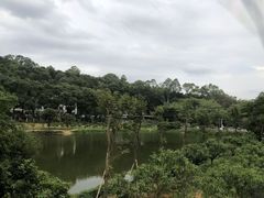 -南国桃园旅游度假区