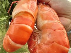 -品鲜村农家菜·阳澄湖大闸蟹(总店)