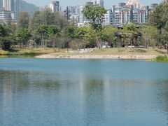 -四海公园(南山区)