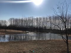 -东郊湿地公园