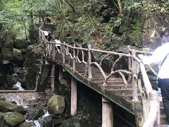 -藏龙百瀑风景区