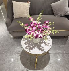 -MIDA蜜哒•科技逆龄美肤连锁