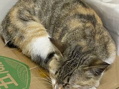 -潮陈记土鸡火锅(东厦北路店)