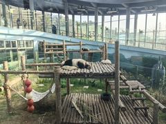 -大连森林动物园