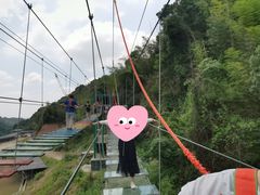 -长沙黑麋峰国家森林公园