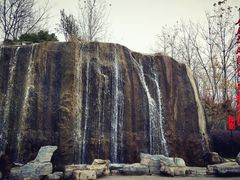 -合肥滨湖国家森林公园