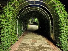 -禾源面馆(文化路四角店)