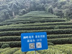 -新白鹿餐厅(龙游路店)