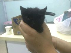 -宠颐生中康贝怡动物医院