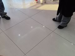 -全心全意连锁动物医院·微创中心·内科急重症·心脏专科(丰管路店)