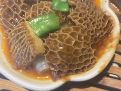-点都德·毕德寮