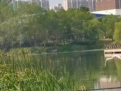-洋湖国家湿地公园