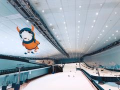 -哈尔滨热雪奇迹