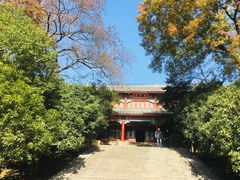 -灵谷景区