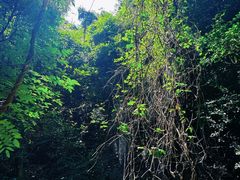 -昆明青龙峡风景区