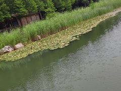 -太湖湖滨国家湿地公园-停车场