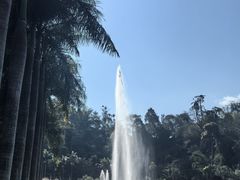 -西双版纳原始森林公园