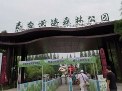 -黄海国家森林公园