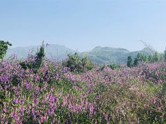 -秦岭风景区