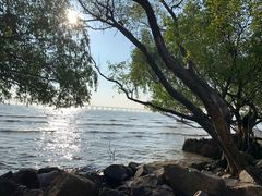-宝安西湾红树林湿地公园