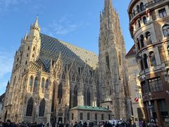 -斯蒂芬主教座堂(Stephansdom)