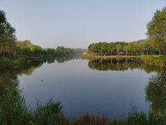 -东郊湿地公园