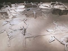 -洛阳周王城天子驾六博物馆