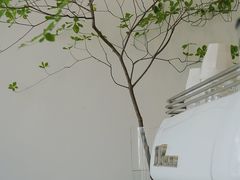 -Eu2+ coffee(上大路店)