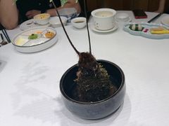 -新廊桥(原科华廊桥店)
