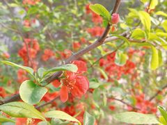 -朝阳公园游乐园