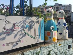 -猫咪博物馆(顶澳仔猫街店)