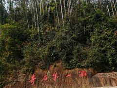-四会奇石河风景区