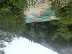 -黄龙山原始森林景区