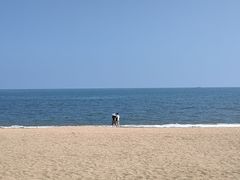 -金沙滩海水浴场(万平口景区4号门扬帆广场店)
