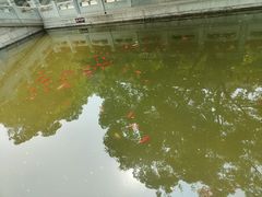 -香山公园