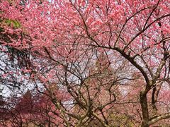 -白塘生态植物园