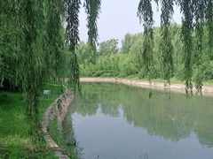 -宿豫区运河湾森林动物园