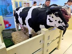 -红星前进面包牛奶公司(君太店)