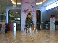 -陈露国际冰上中心(天津嘉里汇店)