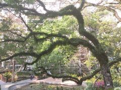 -香港大学