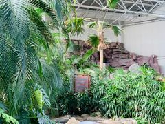 -中家鑫园温泉酒店鑫悦汤泉