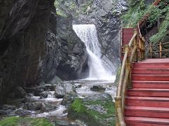 -牛背梁国家森林公园