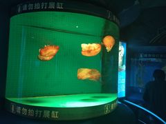 -厦门海底世界