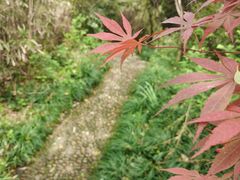 -上海月湖雕塑公园