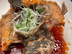 -新南华大酒店(广中店)
